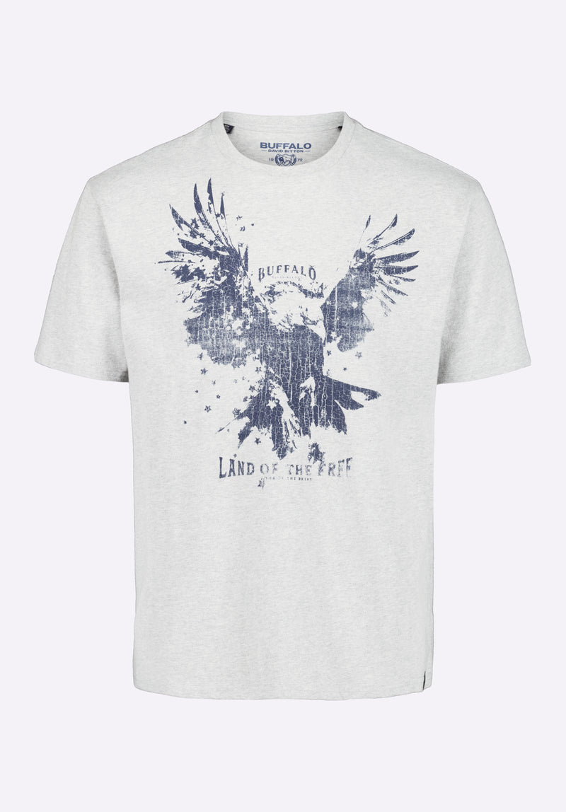 Teagle Men's Graphic T-Shirt with Eagle Print, Heather Grey - BM24647